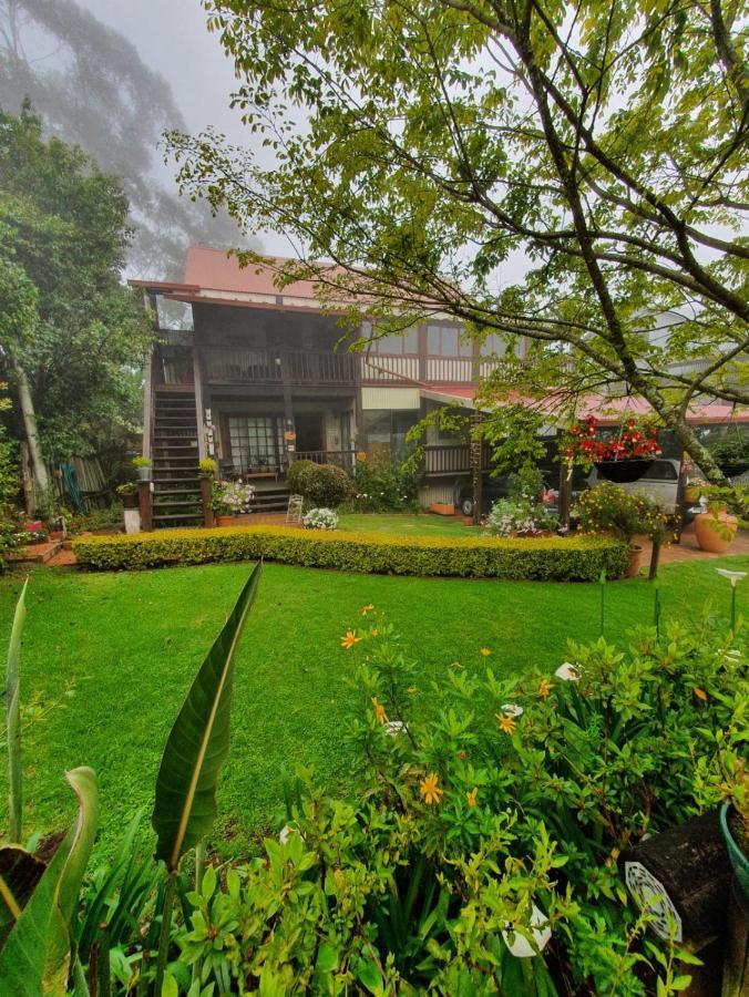 Kattekwaad Accommodation Kaapsehoop Экстерьер фото