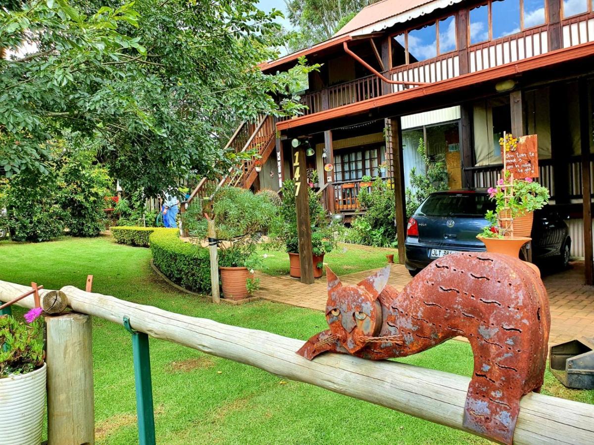 Kattekwaad Accommodation Kaapsehoop Экстерьер фото