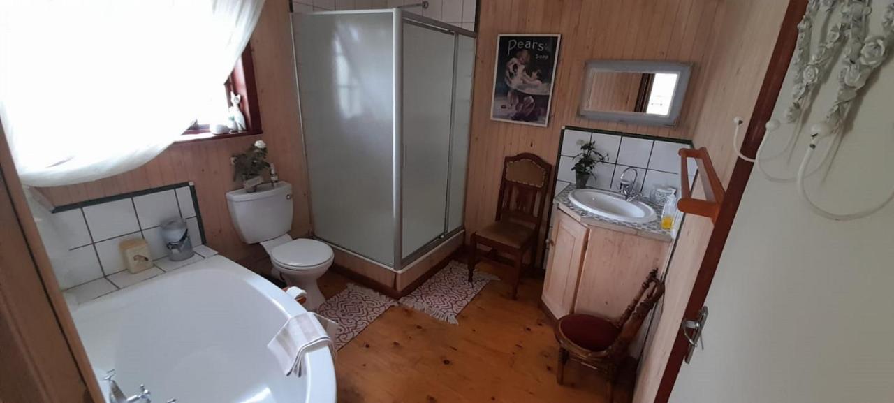 Kattekwaad Accommodation Kaapsehoop Экстерьер фото