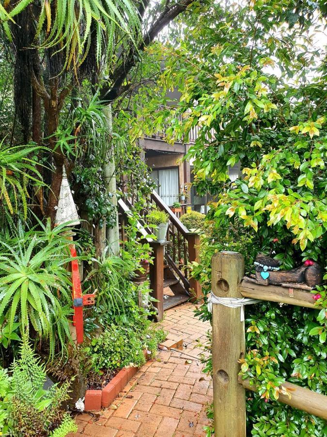 Kattekwaad Accommodation Kaapsehoop Экстерьер фото