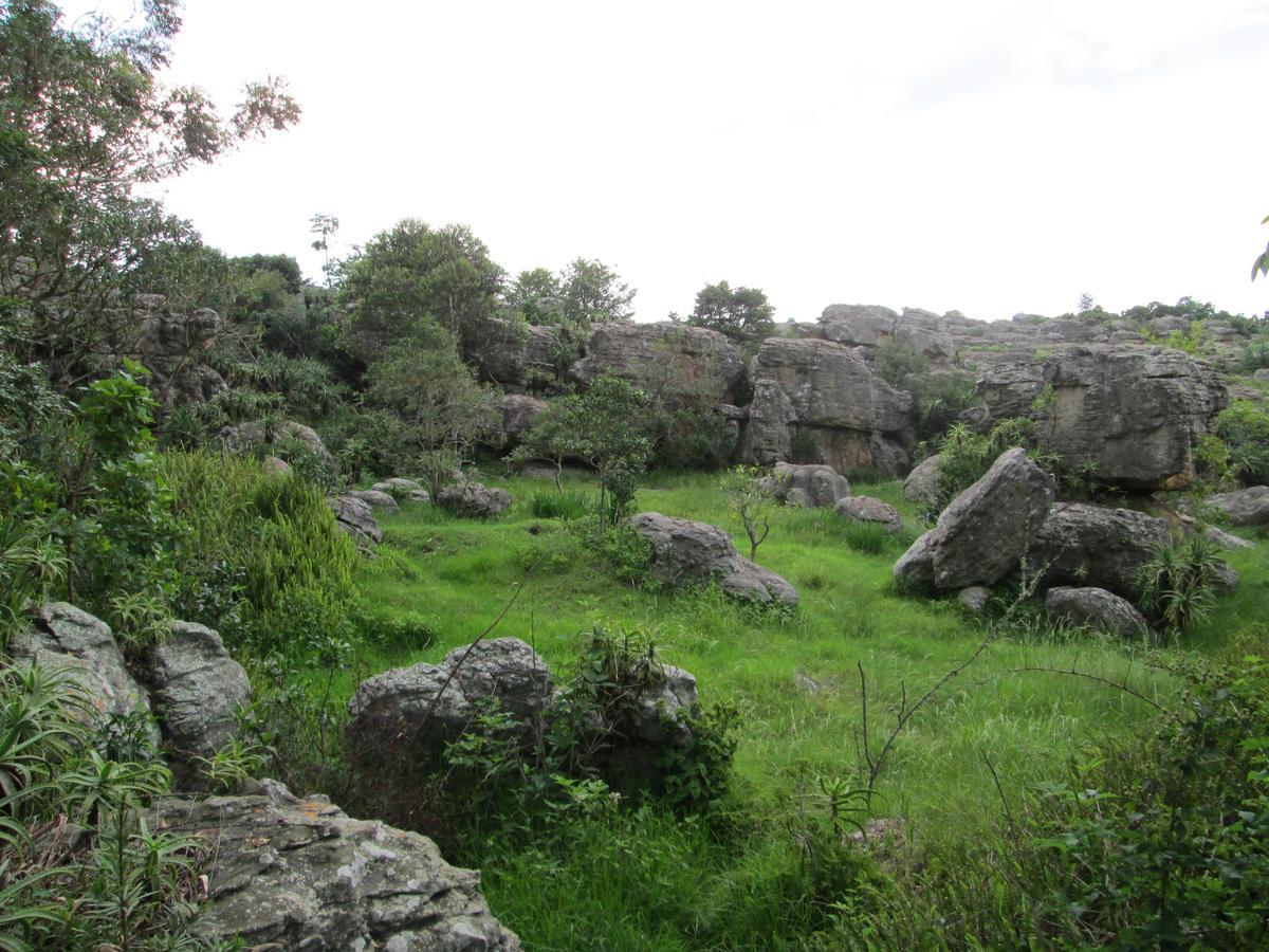 Kattekwaad Accommodation Kaapsehoop Экстерьер фото